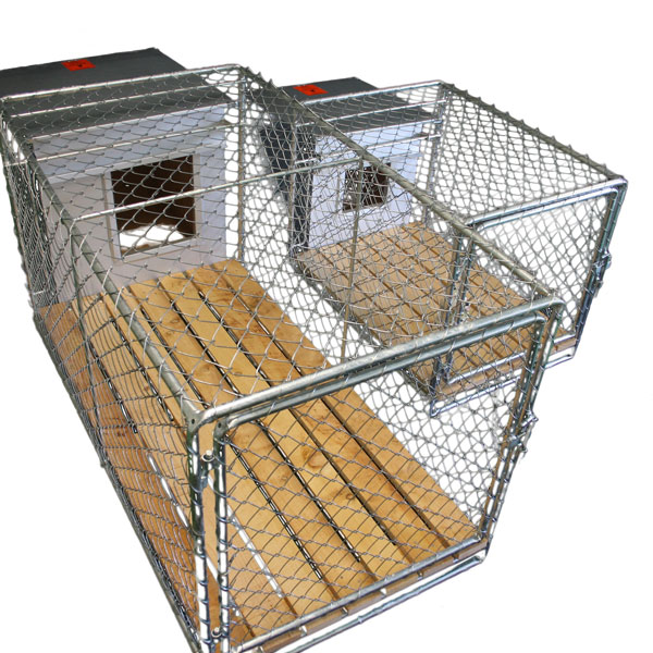 Dog shop run kennel