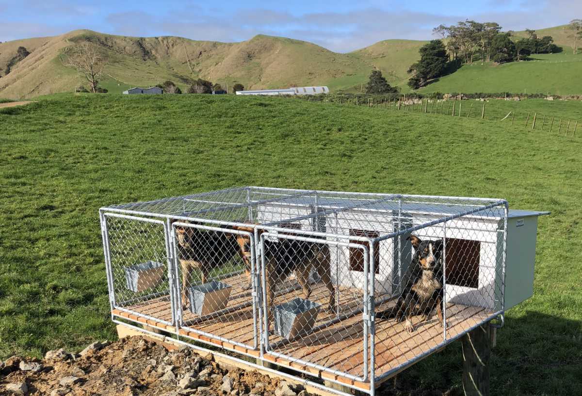 Treble kennel and runs